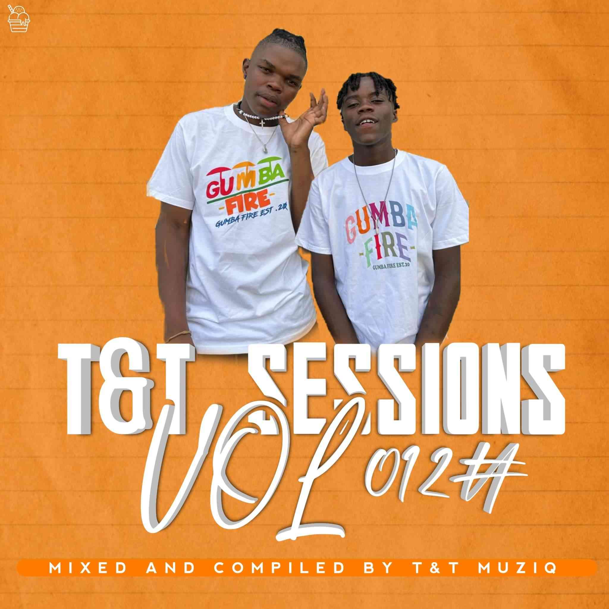 T&T MuziQ – T&T Sessions Vol #012 (Road To Color Fest)