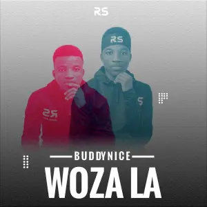 Buddynice – Woza La (Redemial Mix)