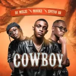 DJ Melzi, Moukz & Spitjo88 – Cowboy VIII (Rekere)