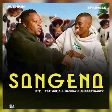 Pushkin & Springle – Sangena Ft. Mankay, Choco Dynasty & T&T Muziq