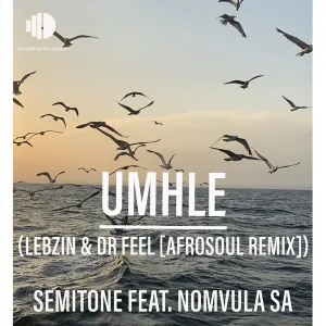 Semitone & Nomvula SA – Umhle (Lebzin & Dr Feel AfroSoul Remix Extended Version)