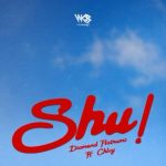 Diamond Platnumz – Shu! ft. Chley