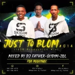 Dj Father, SKiDiM & Zol – Just To Blom #014 Mix