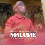 Elvirgo – Malume (Nta Swi Byela Mani Revisit) ft. Chicco & TallexQ