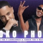 Felo Le Tee, LeeMckrazy & Muziqal tone – Phoko Phoko! Ft. Thabza Tee