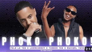 Felo Le Tee, LeeMckrazy & Muziqal Tone – Phoko Phoko! Ft. Thabza Tee