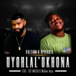 Kaleido & Springle – Uyohlal’ Ukhona (ft. T&T MuziQ & McGee Keys)