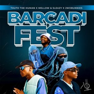 Mellow & Sleazy – Briyani 6