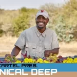 Chronical Deep – Groove Cartel Deep House Mix