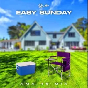 DJ Ace – Easy Sunday (AMA 45 MIX)