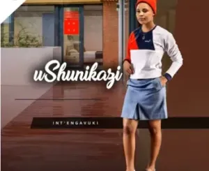 Ushunikazi – Inzima Impilo