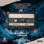 VA – Marinated Soundz Vol. 1 (Compiled By Nhlokzin)