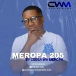 Ceega – Meropa 205 (Expesive Woolworths Sound)