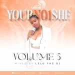 Lelo The DJ – Your No1She Volume 5 Mix