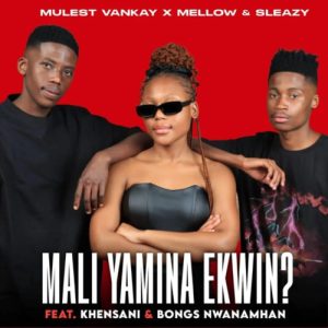 Mulest Vankay & Mellow & Sleazy – Mali Yamina Ekwin ft. Khensani & Bongs Nwana Mhan