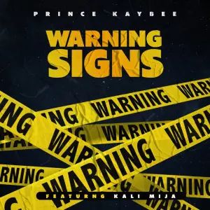 Prince Kaybee – Warning Signs (ft. Kali Mija)