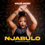 Valee Music, Cuebur & Danzo – Njabulo