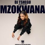 DJ Tshegu – Mzokwana ft. Sims Noreng