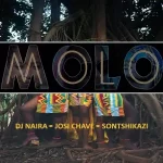 DJ Naira & Josi Chave – MOLO ft. Sontshikazi