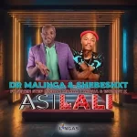 Dr Malinga & Shebeshxt – Asilali ft. Seven Step, Lebza Mfana, Naqua & 1stLady k