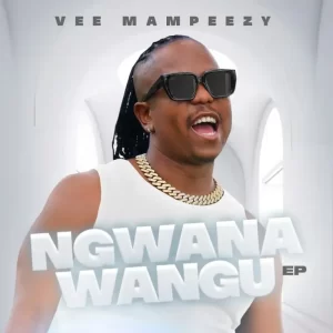 Vee Mampeezy, DJ Ngwazi & DJ Maputo - Mmampudi