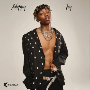 ALBUM: Xduppy - Joy