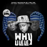 9umba Stumza Da Djy & Sbu YDN – Why Ulele ft Jadenfunky Philharmonic Pushkin RSA ilovelethu Mp3 Download