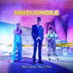 Boohle & Villosoul – Ndizijongile ft. Bravo Le Roux