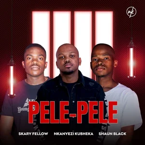 Skary Fellow, Nkanyezi Kubheka & Shaun Black – PELE PELE