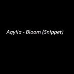 Aqyila - Bloom Mp3 Download