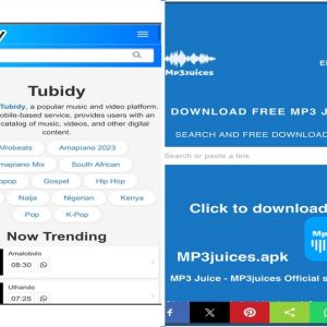 Tubidy vs MP3 Juice Download: Which Is the Best Tool?