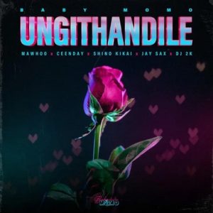 Baby Momo - Ungithandile (ft. MaWhoo, Ceenday, Jay Sax & Shino Kikai)