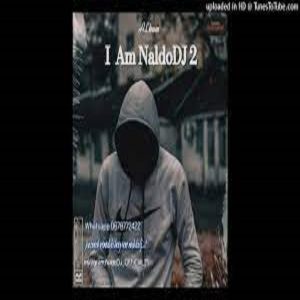 Noel DahSoul'19k & NaldoDJ - Vibe (Main Mix)