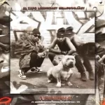 Al Xapo, LeeMcKrazy & Mellow & Sleazy – Nginenja ft. Snenaah, Boontle RSA, LK DeepStixx & TPI