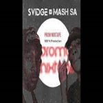 Deejay Svidge & Mash SA - 100% Production Promo Mixtape