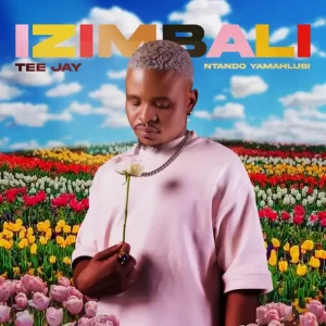 Tee Jay - Izimbali ft. Ntando Yamahlubi