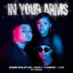 Zane Gulston & Dinky Kunene - In Your Arms ft. Job & Sabs