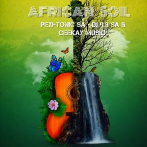 Pexi Tonic SA - African Soil Instrumental