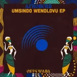 AfroNerd - uMsindo weNdlovu EP