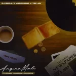 DJ Sneja, Tee Jay & Mapendane RSA - Anginamali ft. PlayNevig & Ntando Yamahlubi