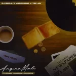 DJ Sneja, Tee Jay & Mapendane RSA – Anginamali ft. PlayNevig & Ntando Yamahlubi