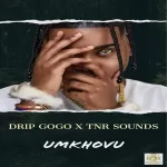 Drip Gogo & TNR Sounds - uMkhovu