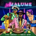 Cyfred & LeeMcKrazy – Saka Malume ft. Sayfar & Tumelo_za