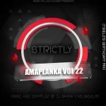 Dj Shima & XoliSoulMF - Strictly Amaplanka Vol. 22 (Tirelo's Birthday Mix)