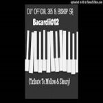 Djy Official 365 & Bishop SA - Bacardii012 (Tribute To Mellow & Sleazy)