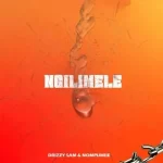 Drizzy Sam (RSA) & Nompumiie - Ngilimele