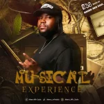 Maero MFR Souls - Musical Experience 038