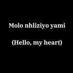 Zwide, uMafikizolo – Molo Nhliziyo Yami