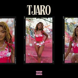 Lunar, Makhekhe Jr & Mellow & Sleazy - Tjaro ft. Jay Music, Al Xapo, Boontle RSA & Nation-365