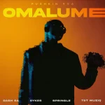 Pushkin RSA – Omalume ft. Sykes, Dash SA, Springle, Supremme & T&TMusiq